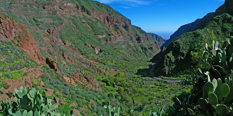 Barranco de Guayadeque